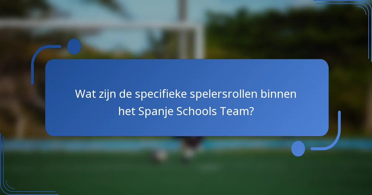 Wat zijn de specifieke spelersrollen binnen het Spanje Schools Team?